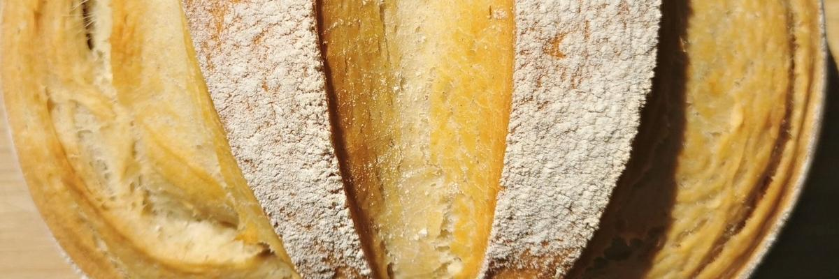Pan Casero Fácil y Rápido con harina común todos uso sin amasado sin levado artesanal hogaza rústico Receta La Carañola